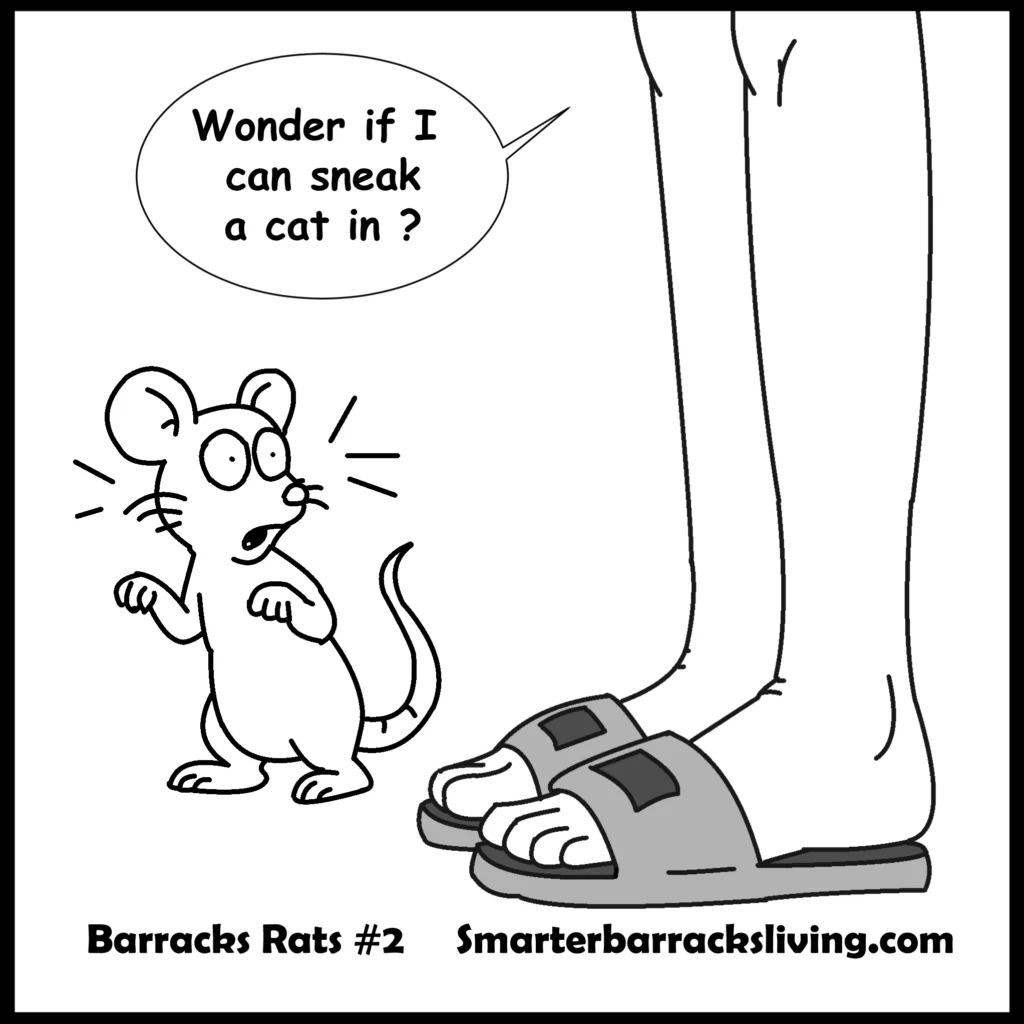 Barracks rat comic strip issue 2. Ratty gets a cat.
