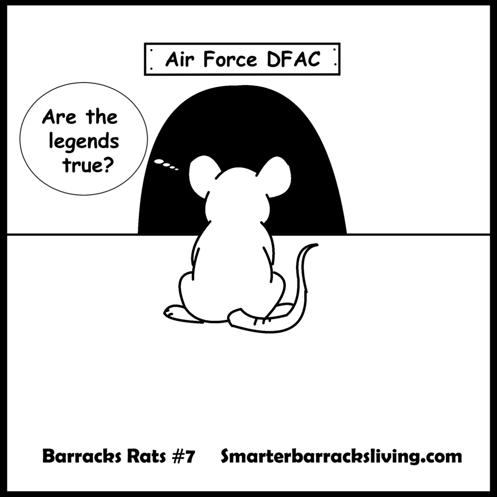 Barracks Rats comic strip Issue 7, Ratty finds the legend of the lost Air Force DFAC. 